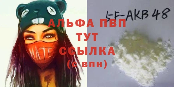 спайс Бородино