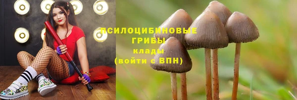 твердый Бронницы