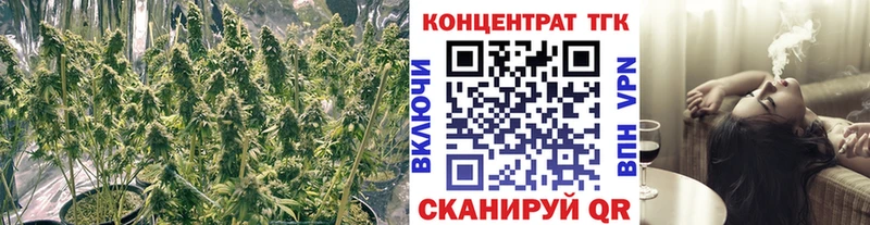 ТГК концентрат Палласовка